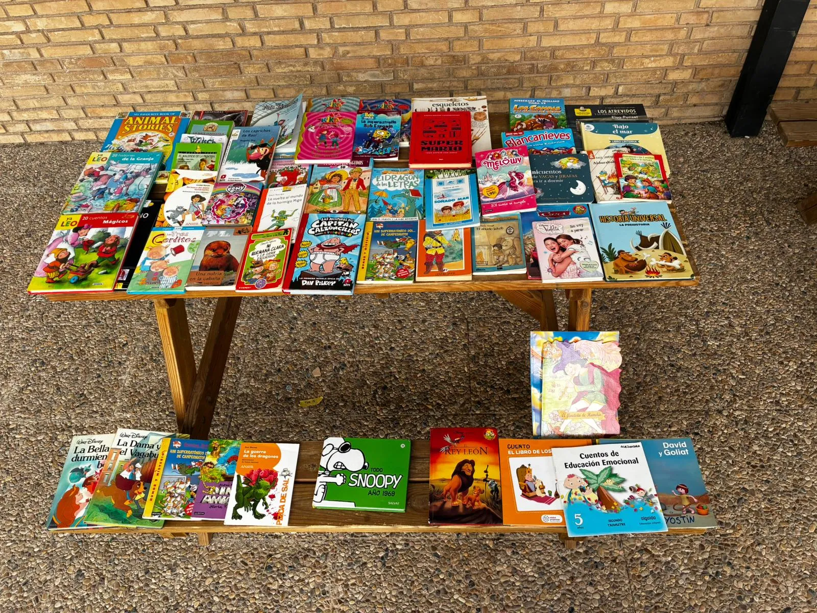 Otra imagen de la actividad del mercadillo del libro